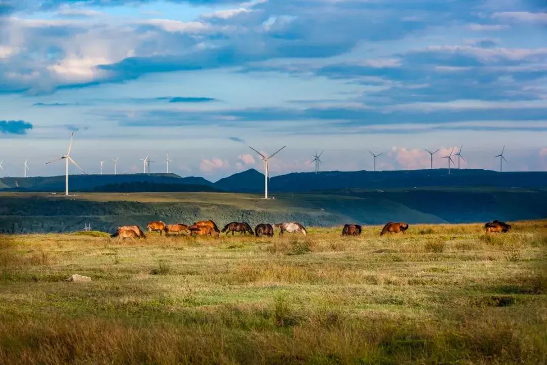 全国最宝藏的省,中国宝藏最多的省份