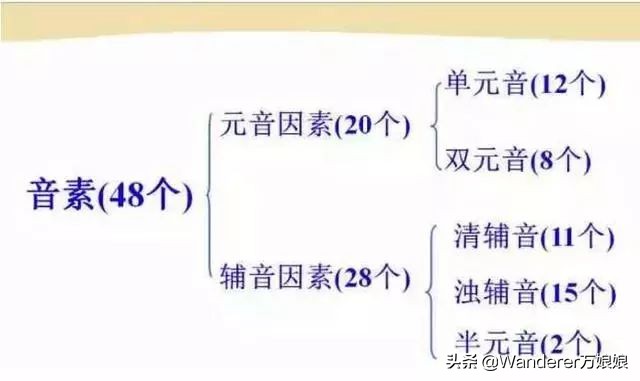 英语48个音标发音附详细图解,音标发音48个正确发音讲解视频