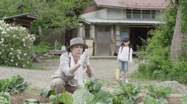 小森林治愈电影,日本美食电影小森林