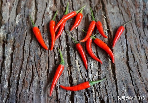 各种辣椒的介绍以及辣度,带你了解更多的辣椒知识
