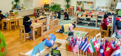 李湘女儿读什么幼儿园,李湘女儿一年学费多少钱