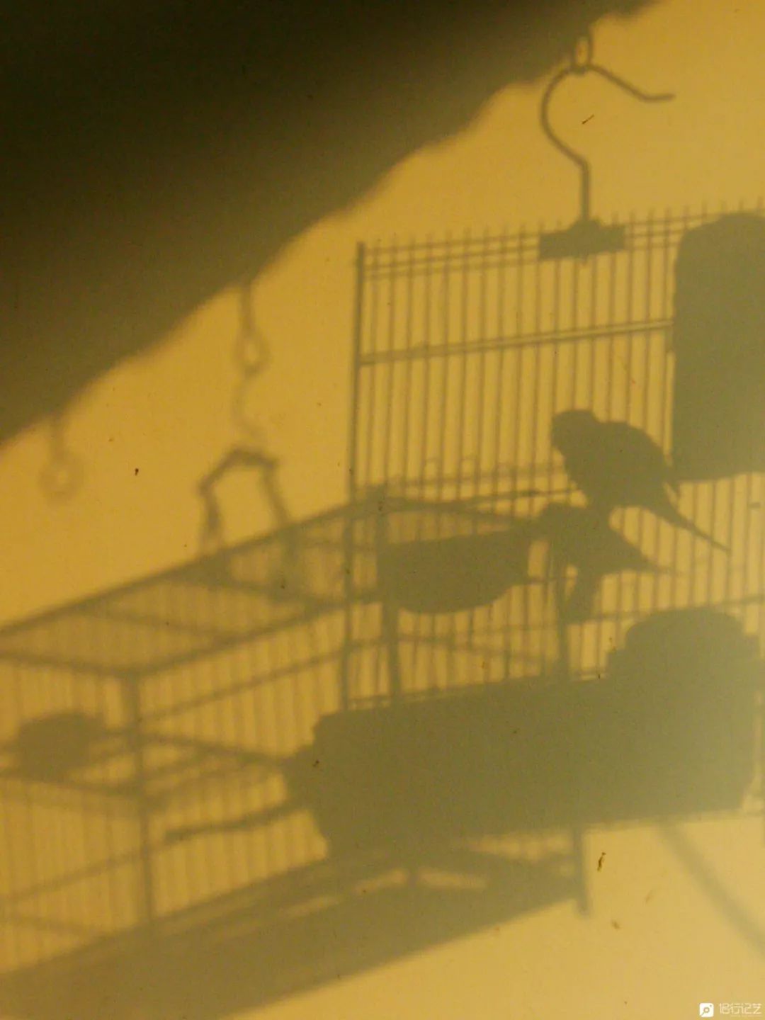 大叔花700万建的花园别墅,太湖石苏州