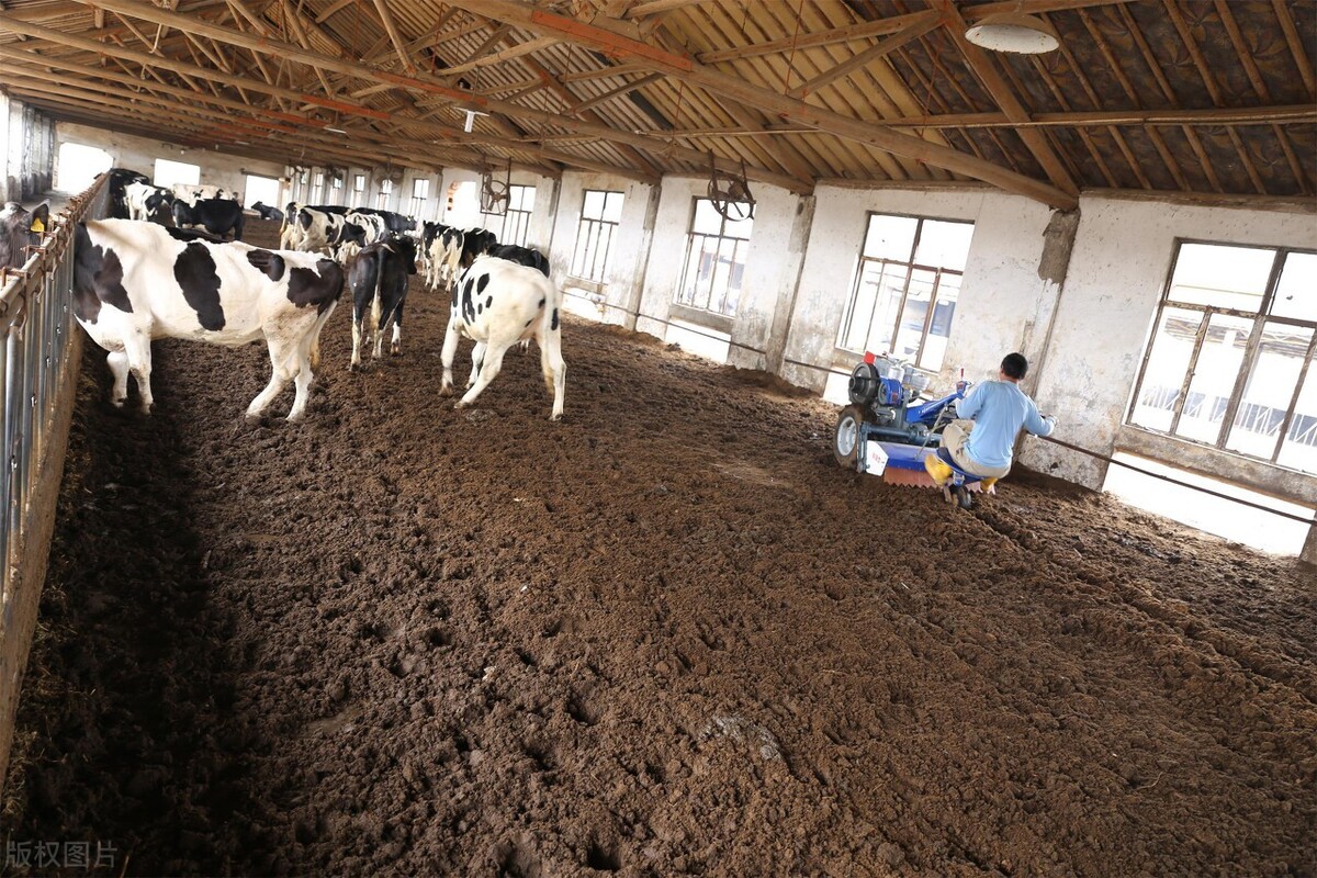 养殖场粪便干湿分离机靠谱吗,养殖场专用粪便分离机粪便脱水机