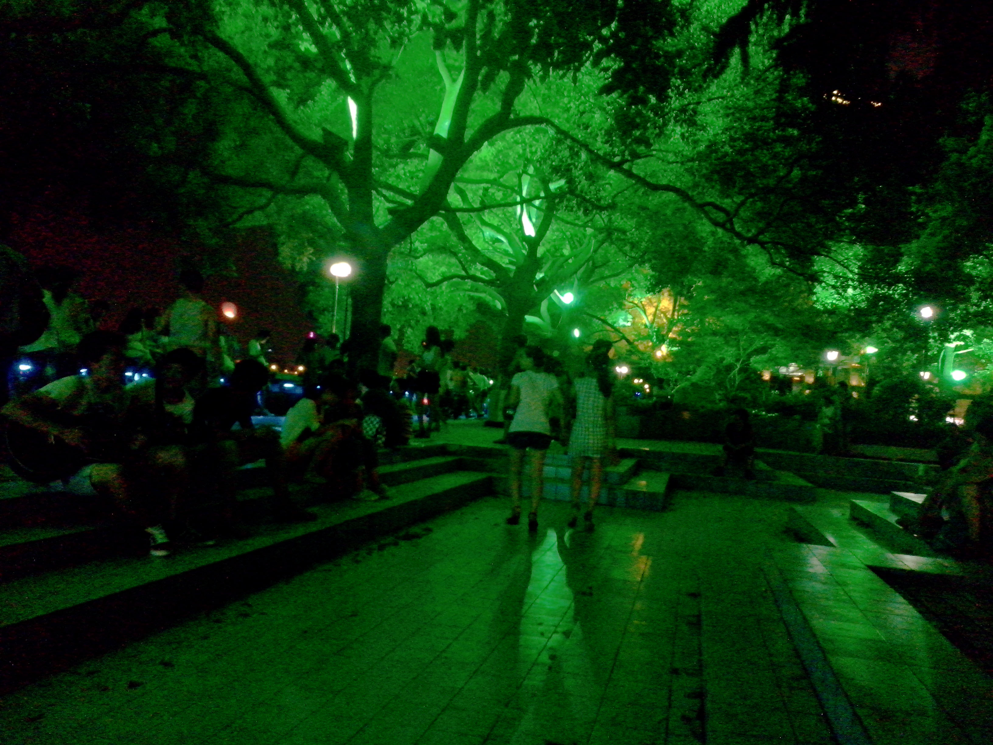 香樟往事,香樟往事电子版