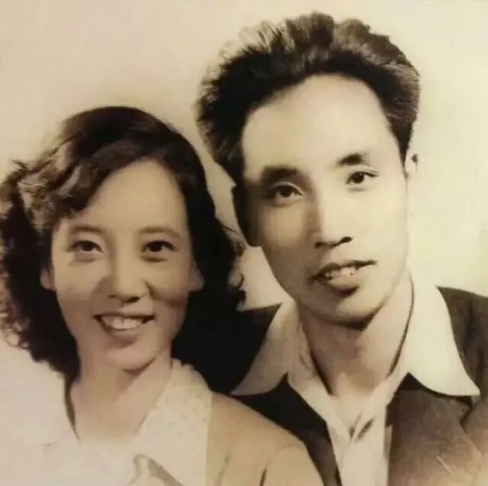 两只老虎葛优范伟催泪结局,两只老虎看完整版电影