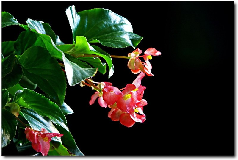 阳台散文随笔,散文阳台