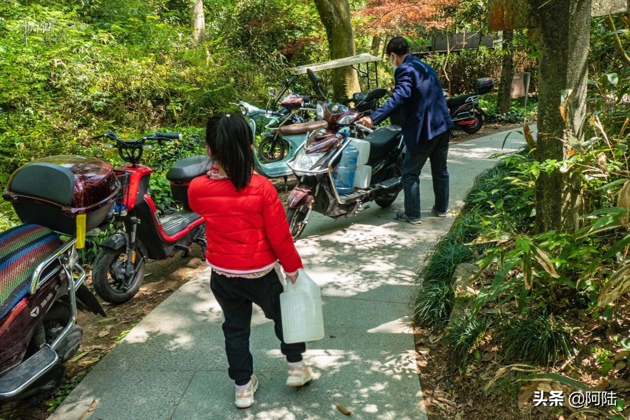 杭州虎跑泉水,杭州虎跑泉旅游攻略