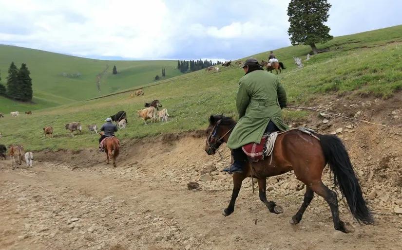 喀拉峻穿越琼库什台几天,喀拉峻穿越琼库什台