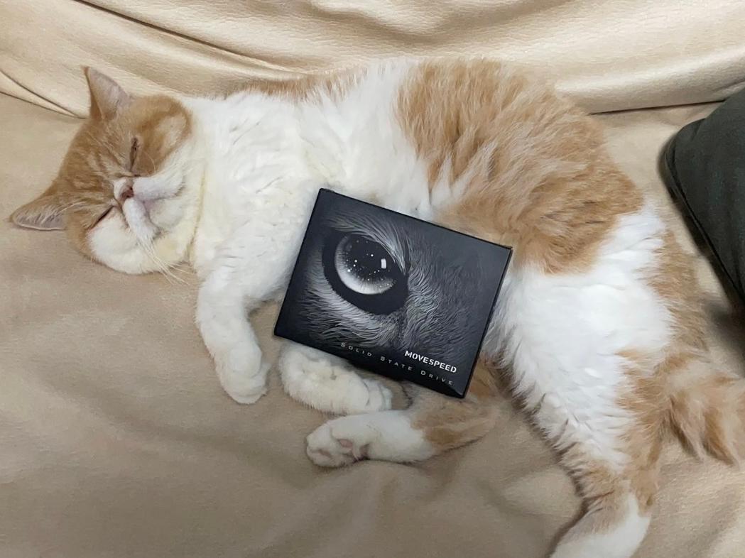 移速美洲豹1t,美洲豹固态买256的还是500的好