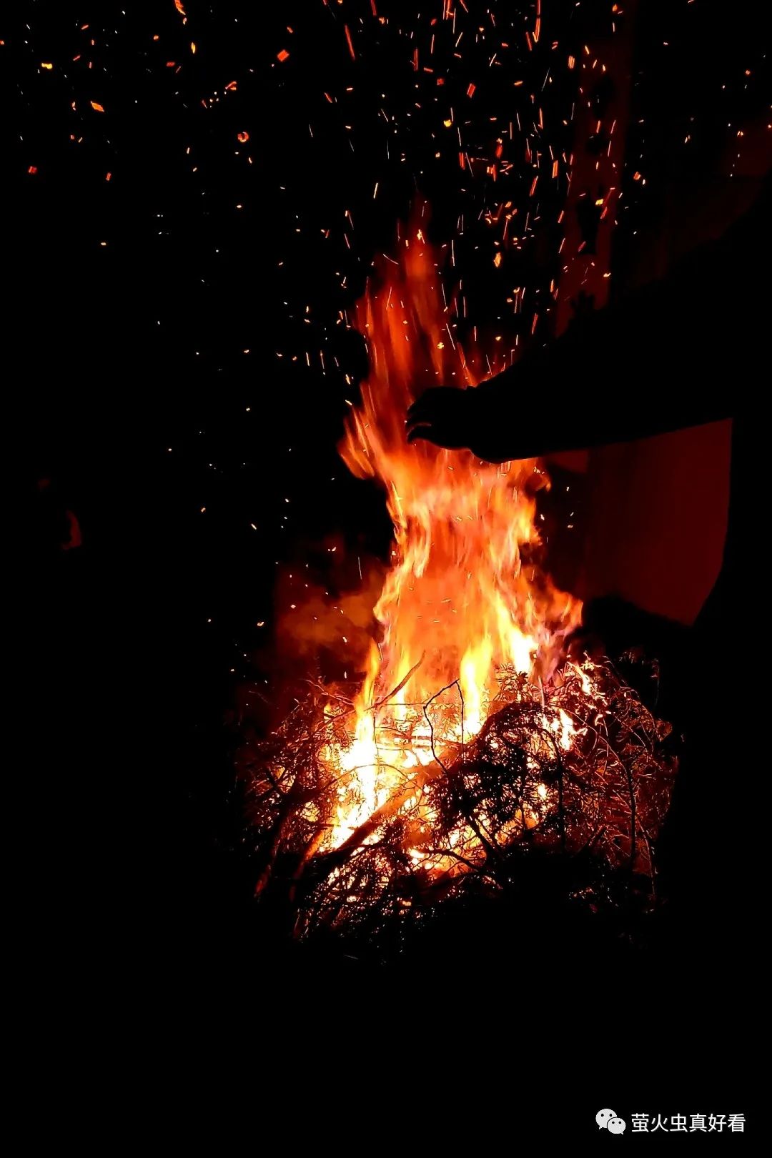 当微薄的力量相继绽放