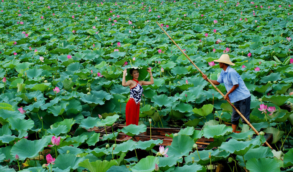高一语文课本上的字词,高中语文课本中的词语