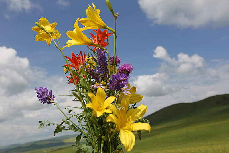 带你看美丽的呼伦贝尔大草原,呼伦贝尔大草原欣赏