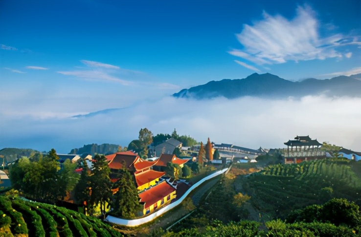 惠明茶是什么茶叶,惠明茶的历史渊源及产地环境