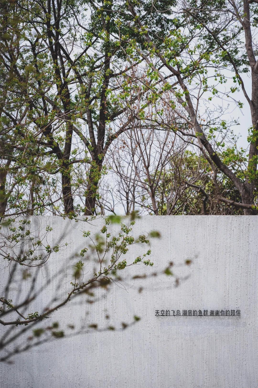 湖畔边的静寂之美——龙湖·抚仙湖星空小镇山顶度假美学馆