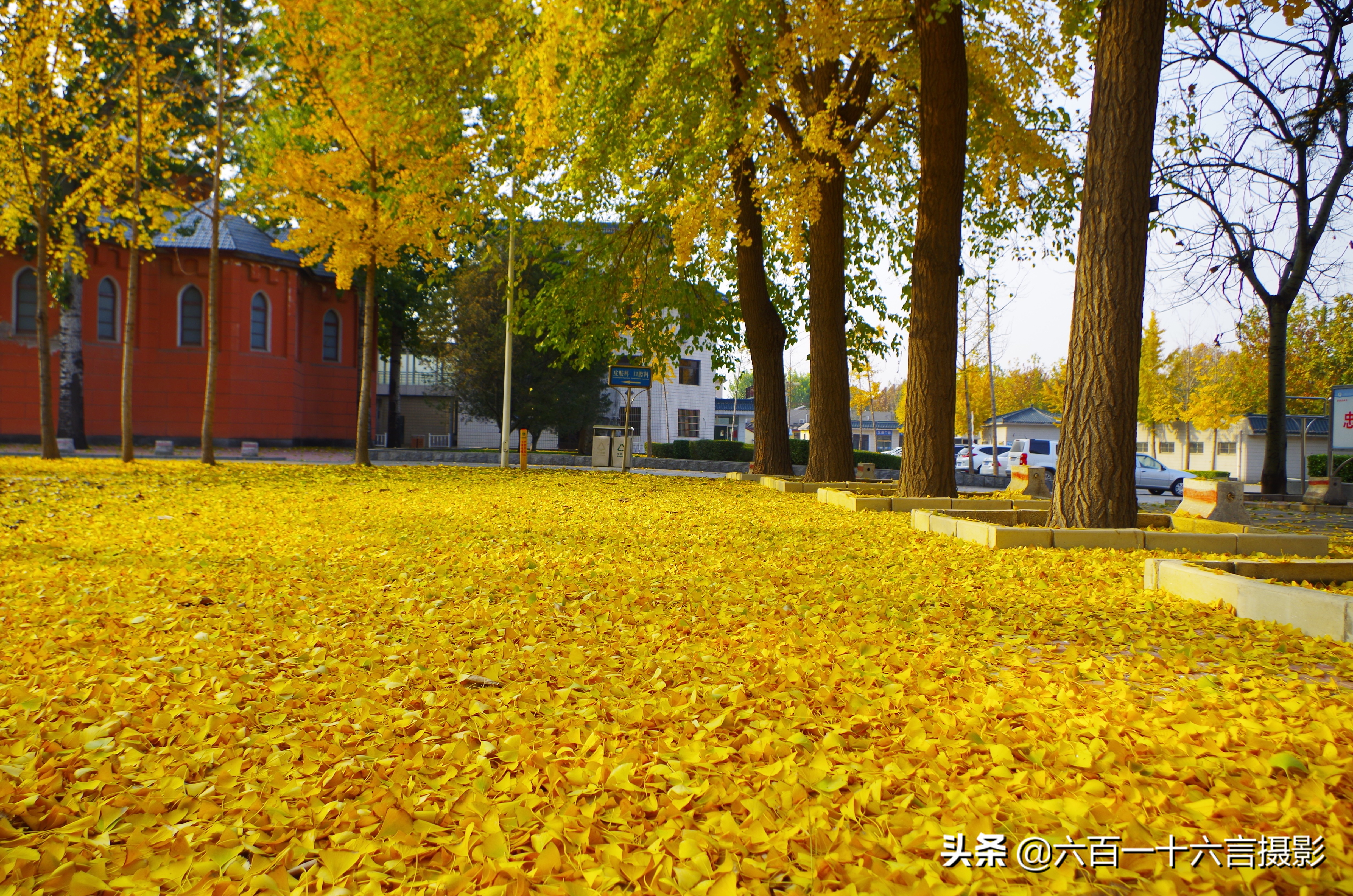 这里是正定04:传说中的御井长这样