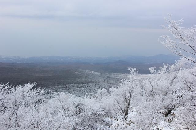 韩国旅游文化的元素有哪些,想了解韩国的旅游文化吗