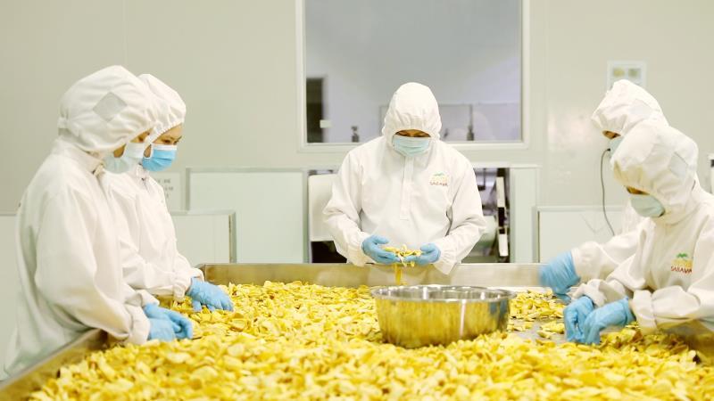 沙巴菠萝蜜干直播 (沙巴哇菠萝蜜干购买平台)