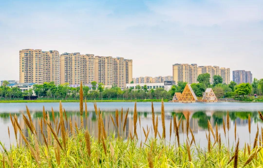 成都最有潜力的花园,成都是个大花园