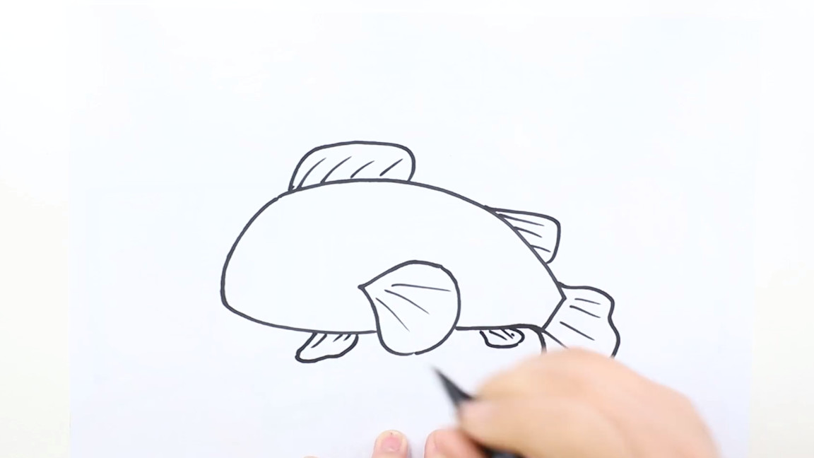 十种鱼的画法,鱼画法简笔画