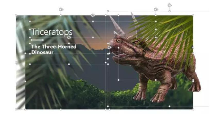 手机打印机怎么样排版打印一寸照,打印店打印一寸照片的步骤