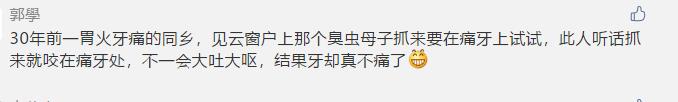 母臭虫可以治疗胃痛吗,病急乱投医药物