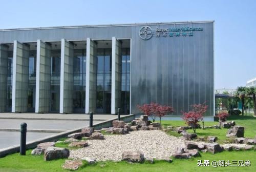 拜耳集团—德国著名的制药企业