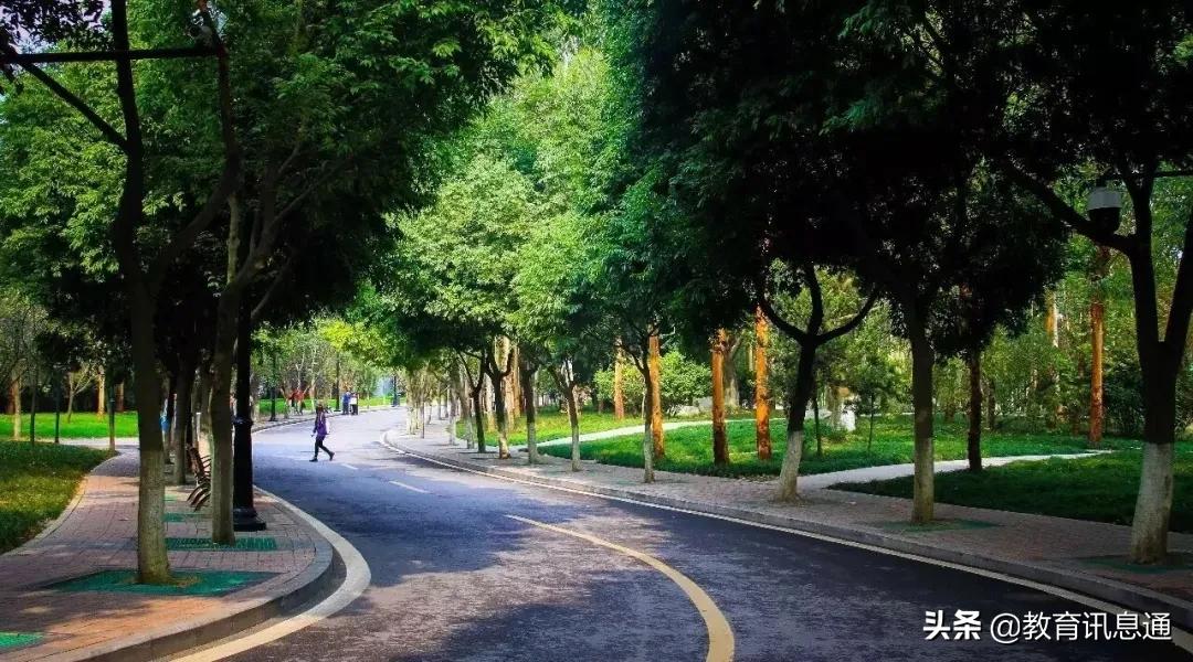 一份来自成都大学的“自我介绍”