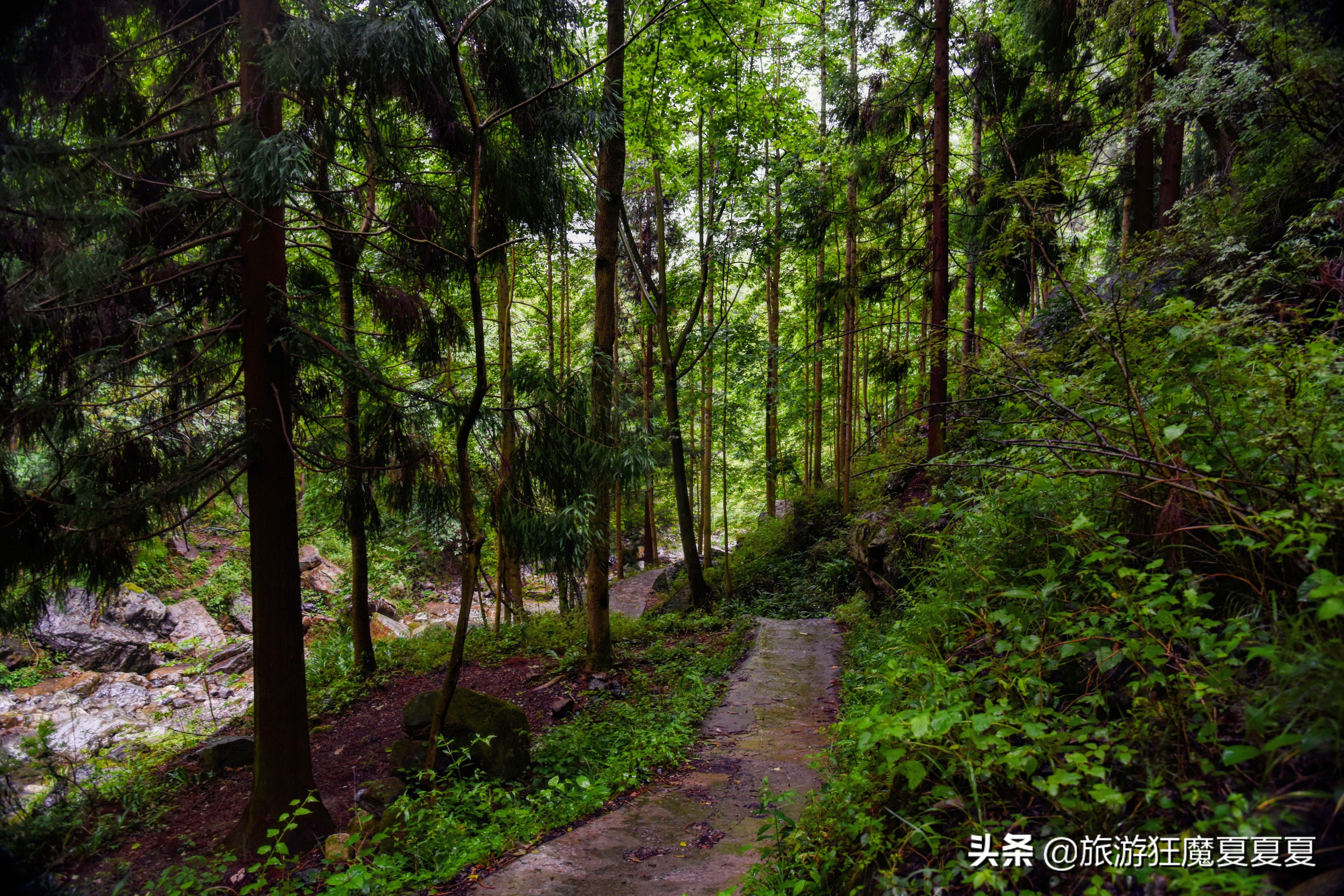看似危险实则安全的溪降，在成都周边就有，运动员：不怕就行