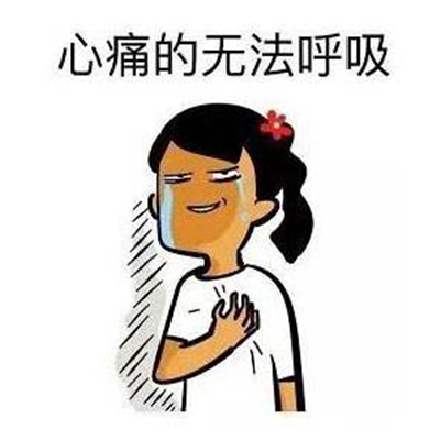 泰迪生小狗难产,泰迪剖腹产医生说小狗死了