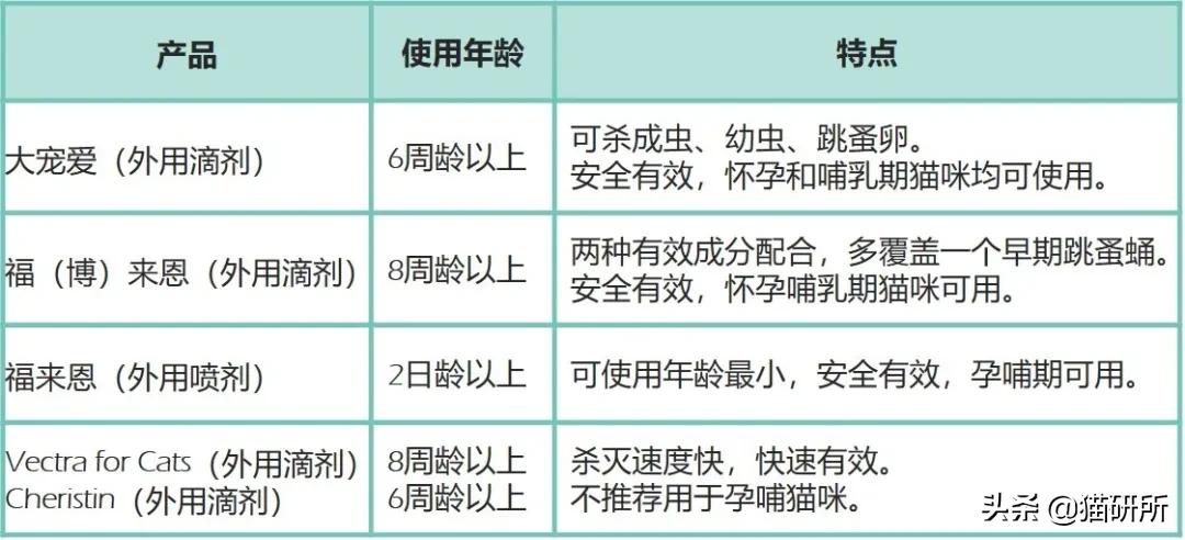 消灭跳蚤有什么特效药,消灭99.99%的跳蚤