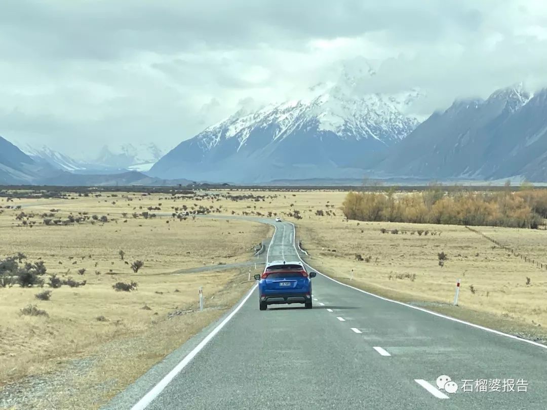 旅行7天,七天游记的视频在线观看全集高清