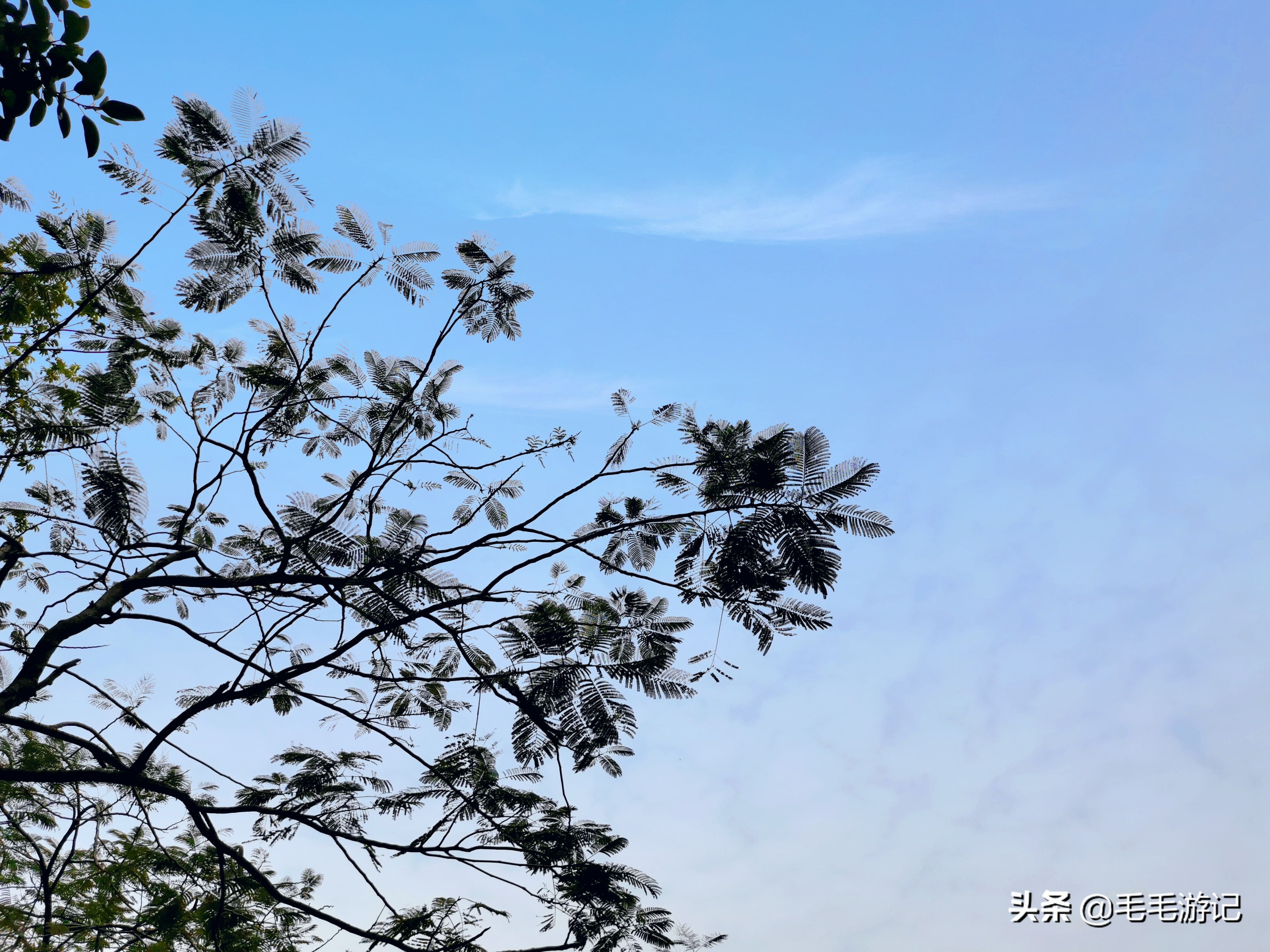 户外散步海珠湖,户外徒步广州