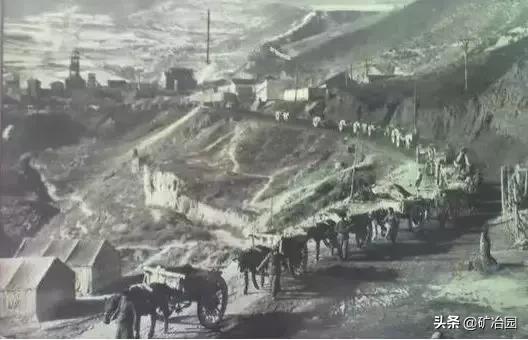 学大庆学大寨,学大庆视频