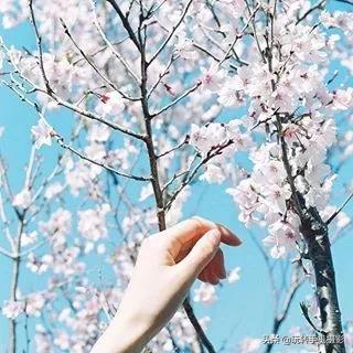 这才是最正宗的九宫格图,最简单的晒图方法