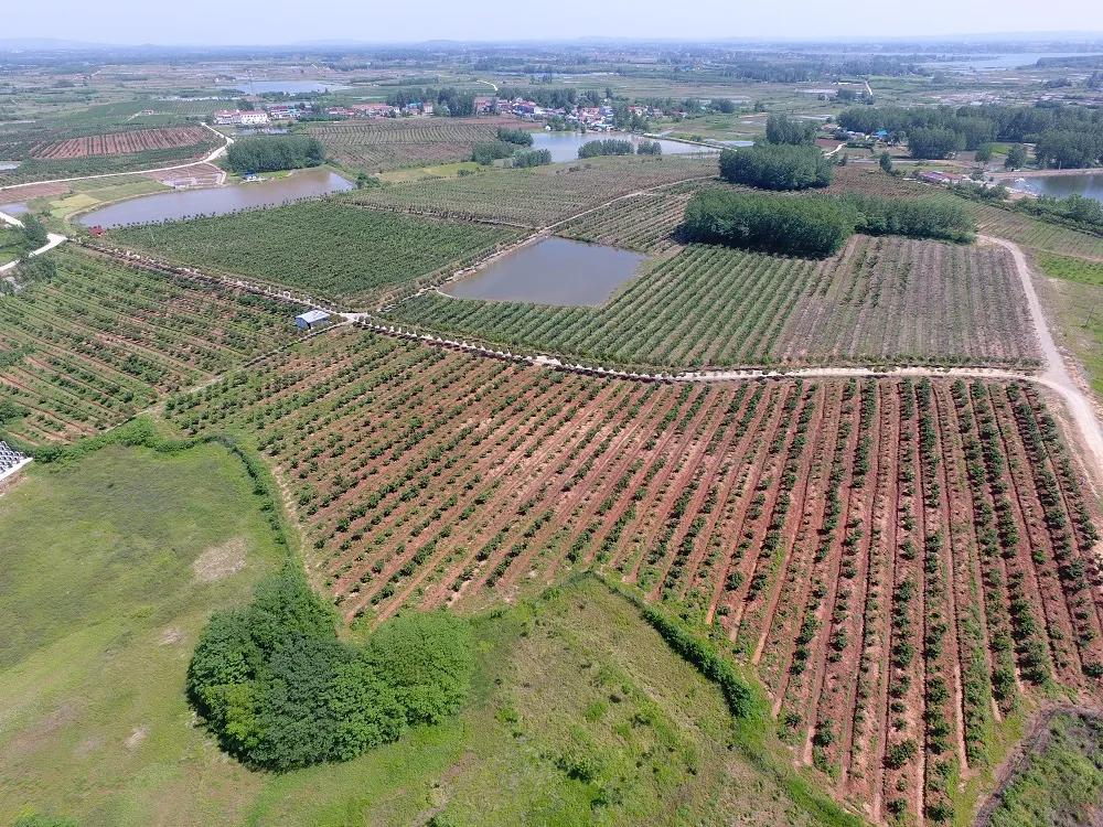 滁州琅琊区春季游,来滁州游琅琊山欣赏风景