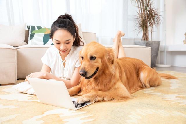 文科汉语言有哪些专业好就业,文科学汉语言文学好还是会计学好