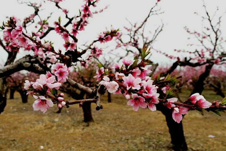 桑园子到什川隧道,桑园子至什川徒步