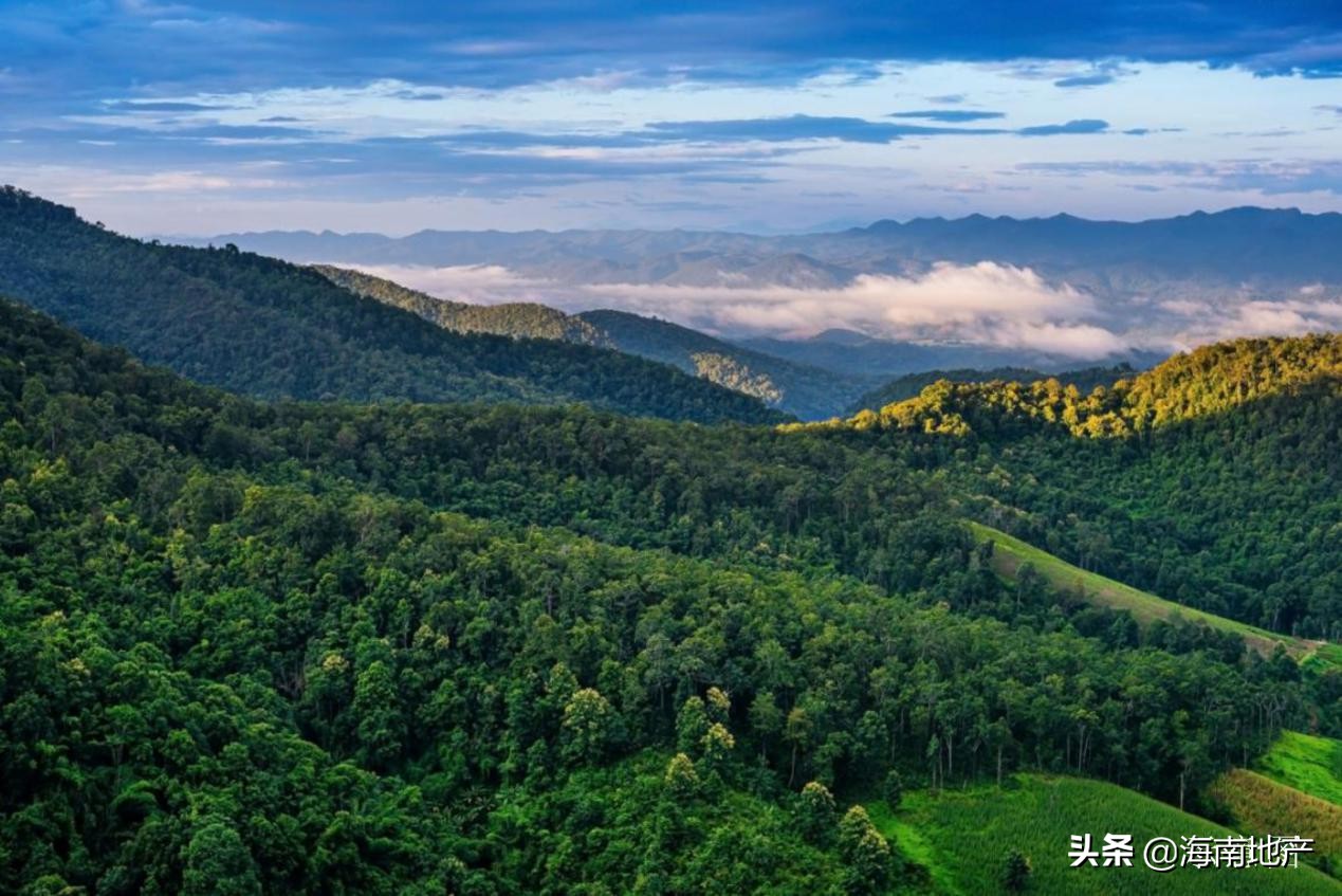 暖冬十二月佳兆业海棠伴山与您共享美好