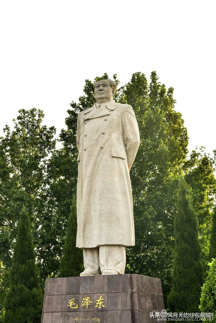 济南一颗梧桐树,济南的法国梧桐