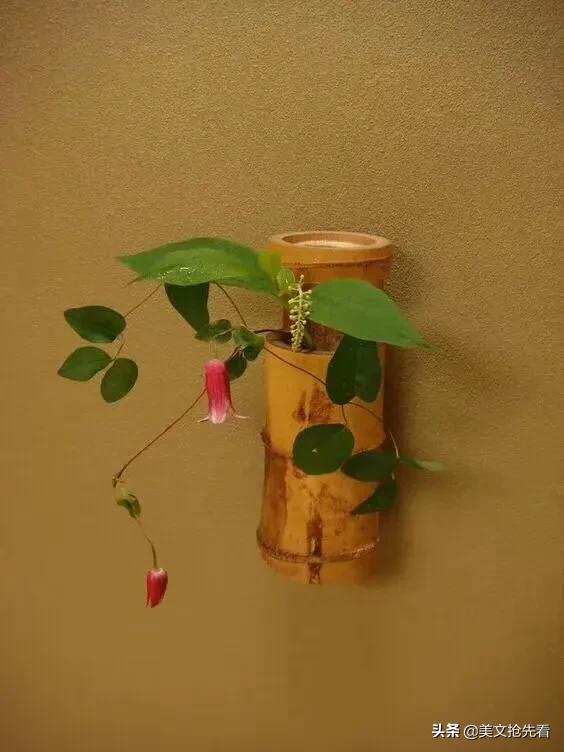 淡然是人生路上的美景,人生最美是淡然原创散文