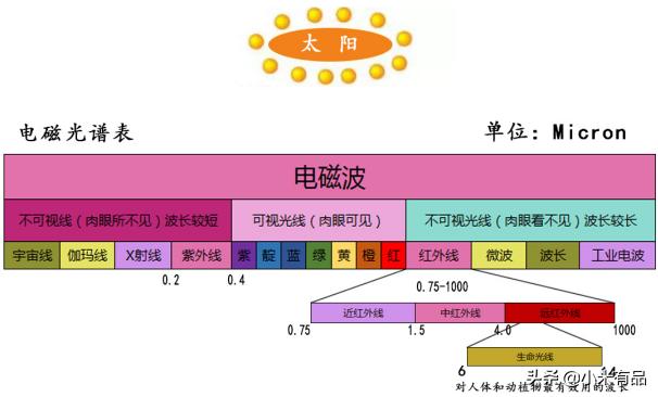 到底应该自己带孩子还是给老人带,自己带还是交给老人带