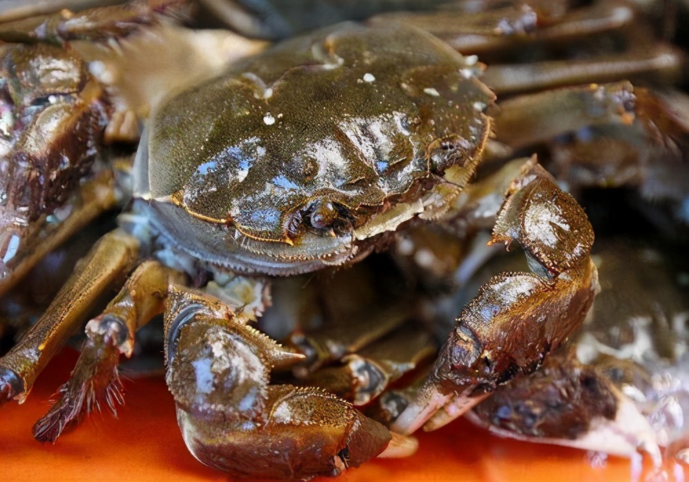 螃蟹怎么保存能放的时间长,螃蟹要怎么放才能保存得久一点