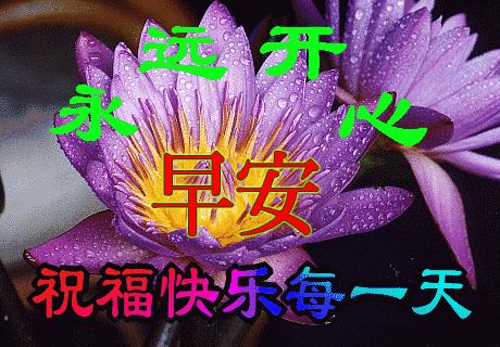 最美早安问候祝福语动态漂亮图片,最新的早上好问候祝福语动态图片