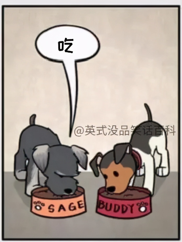 猫和铲屎官漫画全集,铲屎官和狗子的漫画