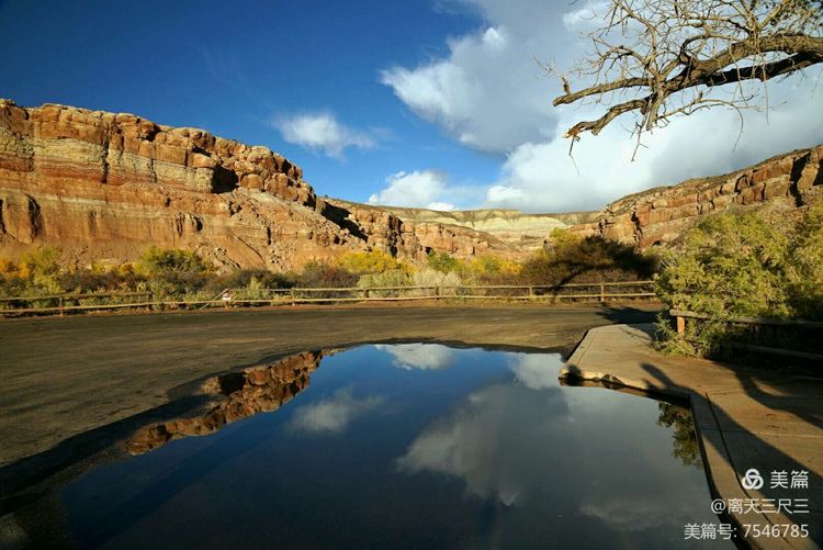 鍖楃編鏋儏闃虫柊,鍖楃編鏋儏鍥剧墖