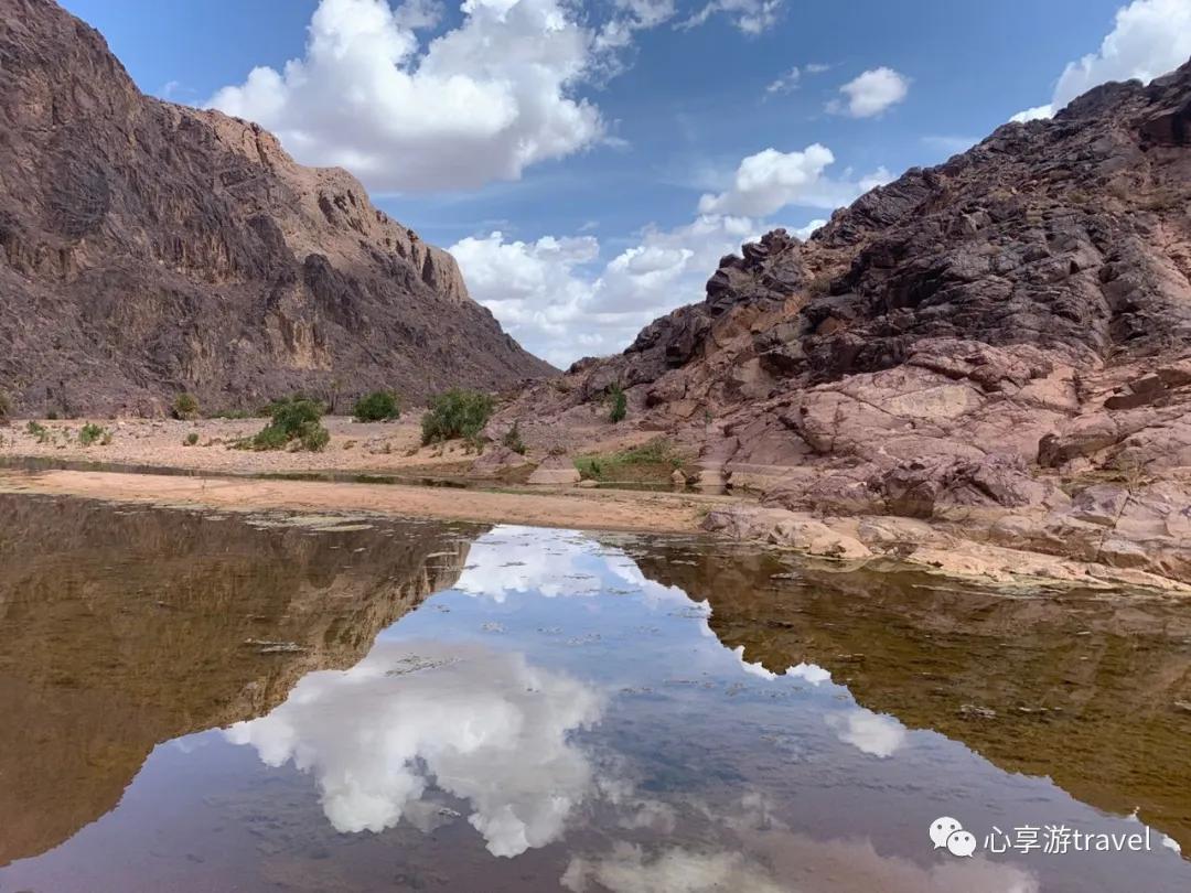 疫情之下写在摩洛哥撒哈拉的滞留日记-（持续更新）