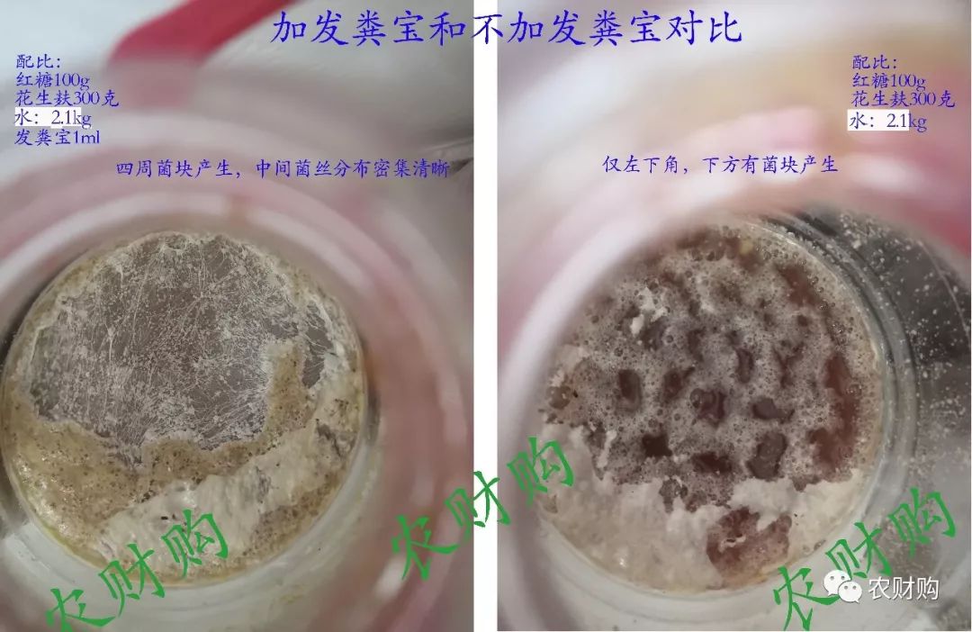 发酵好的酵素怎么样施肥,酵素肥料发酵无氧和有氧的区别
