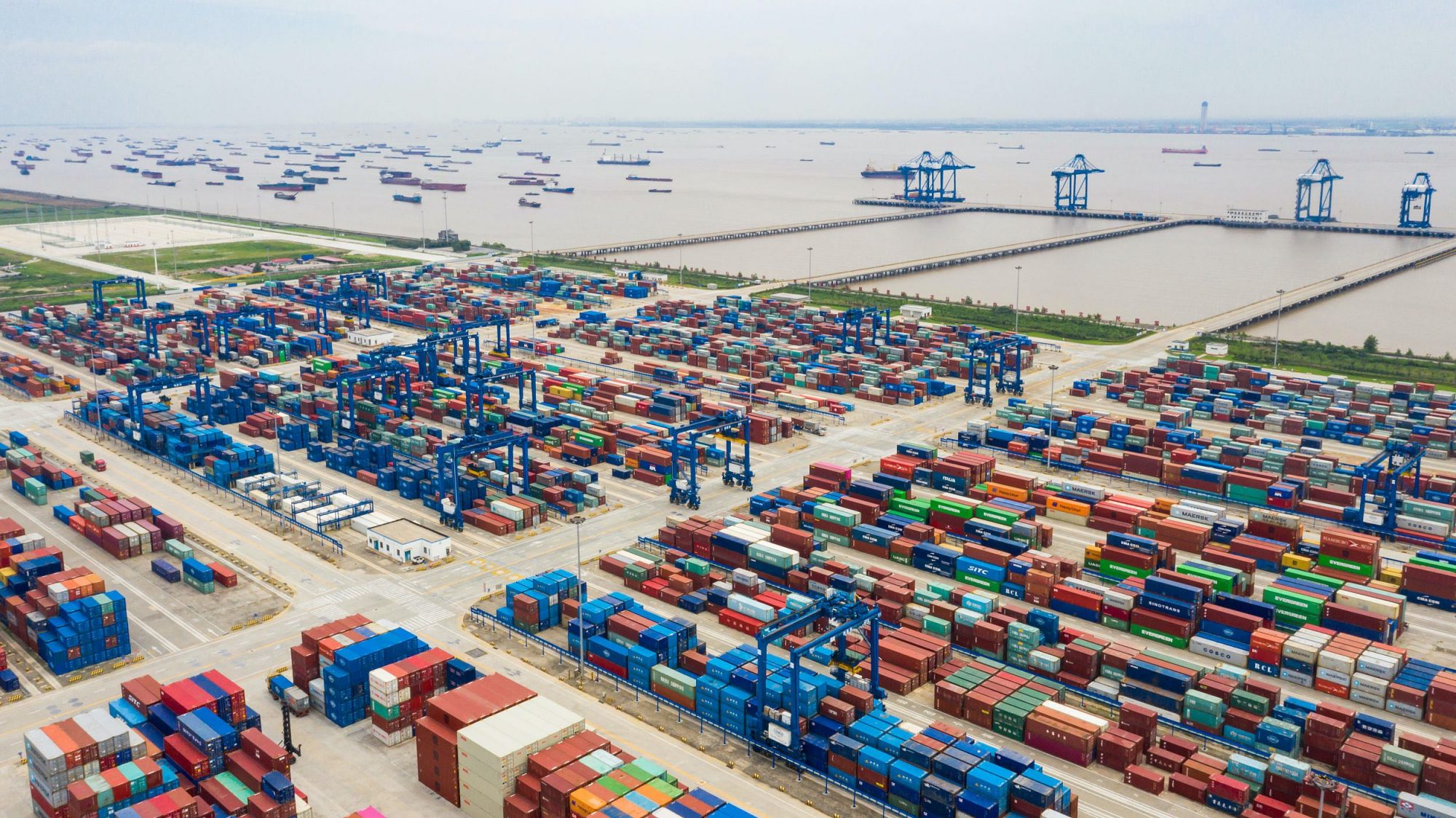 水葫芦为啥消失了,以前常见的水葫芦是否已绝迹