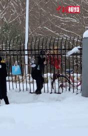 东北街上的冰糖大蒜,都卖给谁了?