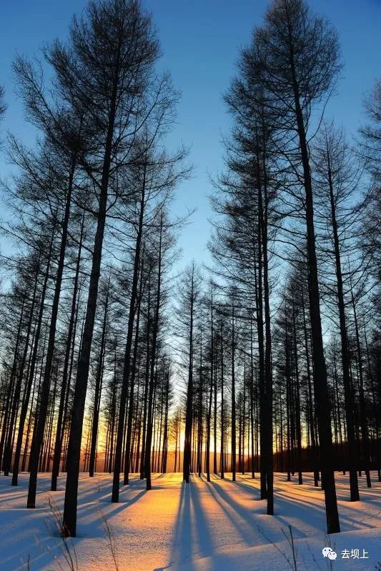 坝上摄影攻略,坝上夏季摄影